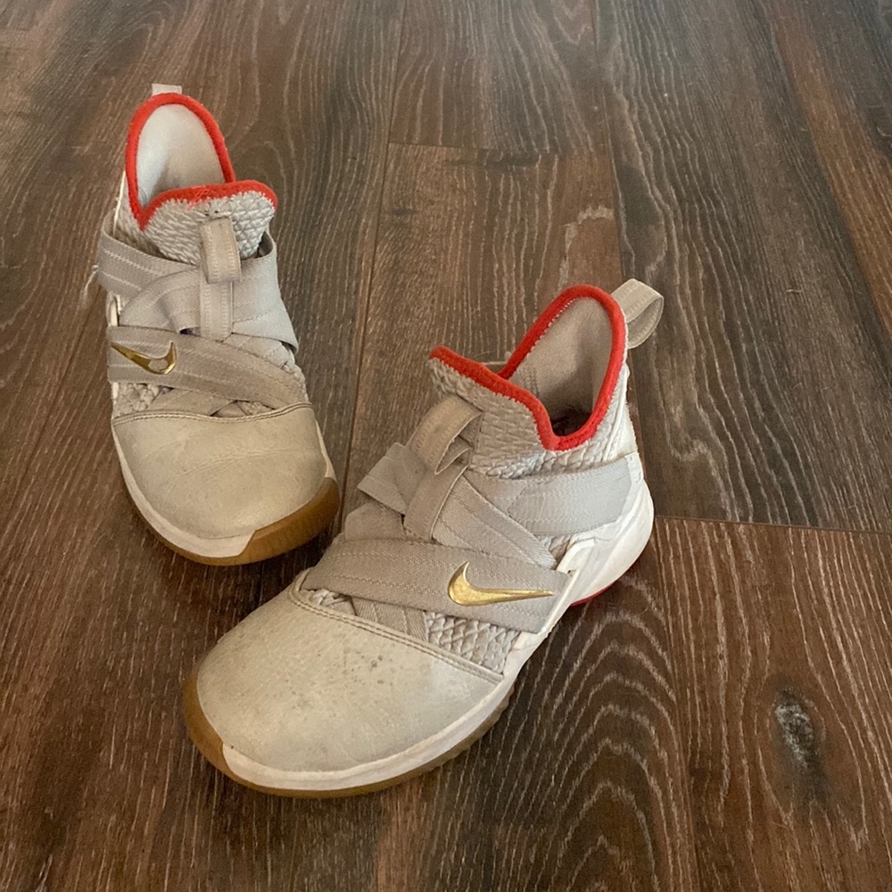 LeBron Basketball Shoes